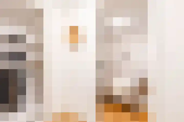 Taco Mesdagstraat 38 Groningen thumbnail 36