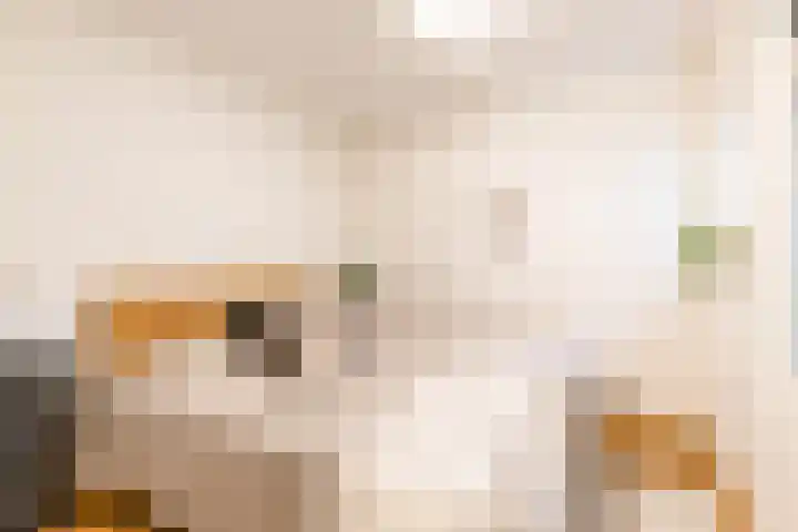 Taco Mesdagstraat 38 Groningen thumbnail 4