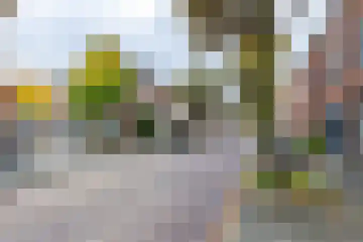 Taco Mesdagstraat 38 Groningen thumbnail 7