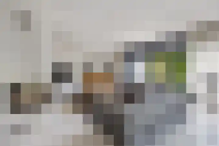 Taconietdijk 2 Roosendaal thumbnail 12