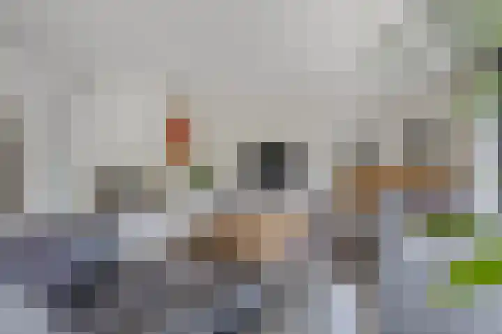 Taconietdijk 2 Roosendaal thumbnail 13