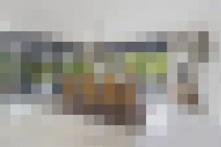 Taconietdijk 2 Roosendaal thumbnail 17
