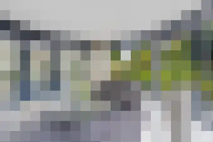 Taconietdijk 2 Roosendaal thumbnail 21