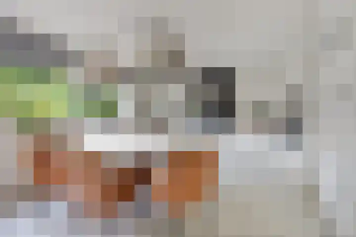 Taconietdijk 2 Roosendaal thumbnail 22