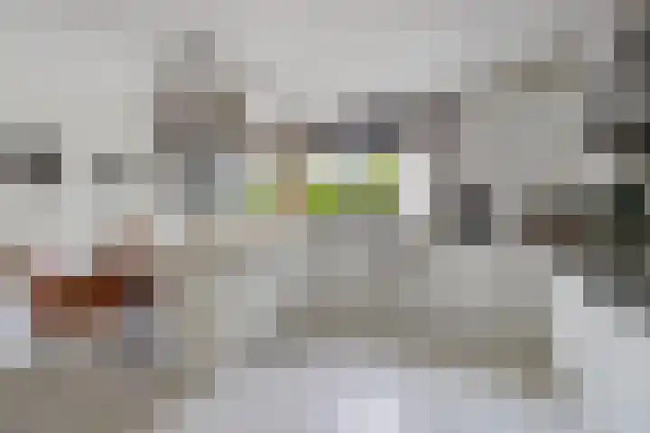 Taconietdijk 2 Roosendaal thumbnail 23