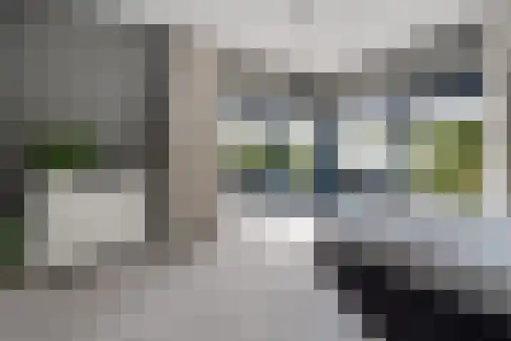 Taconietdijk 2 Roosendaal thumbnail 30