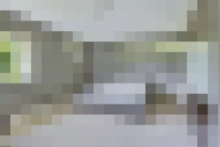 Taconietdijk 2 Roosendaal thumbnail 35