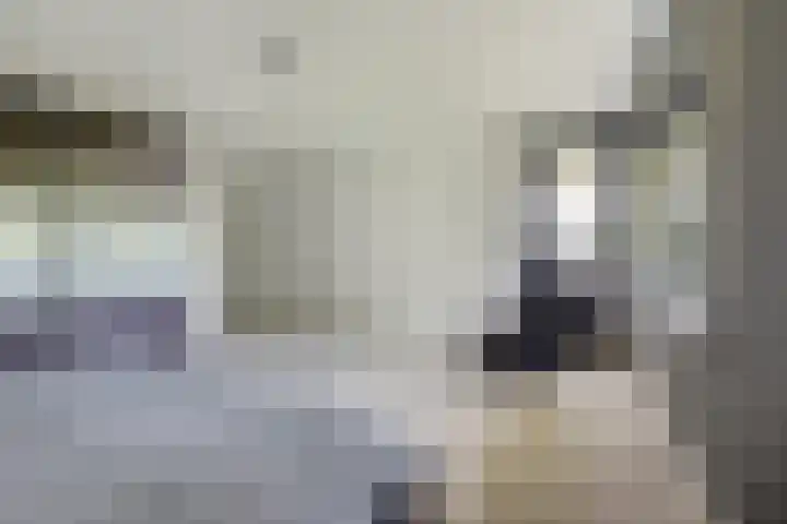 Taconietdijk 2 Roosendaal thumbnail 36