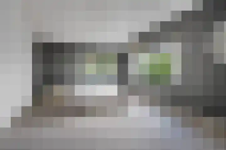 Taconietdijk 2 Roosendaal thumbnail 37