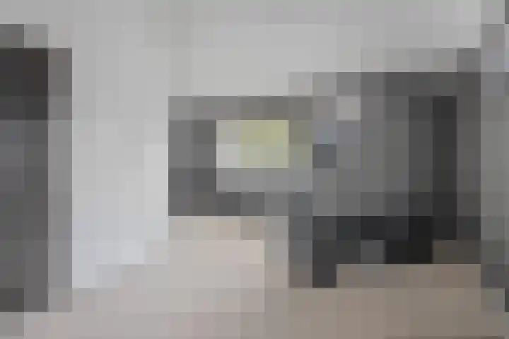 Taconietdijk 2 Roosendaal thumbnail 39