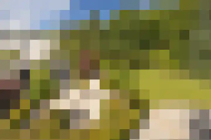 Taconietdijk 2 Roosendaal thumbnail 4