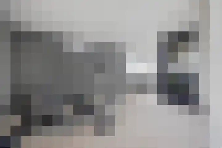 Taconietdijk 2 Roosendaal thumbnail 40