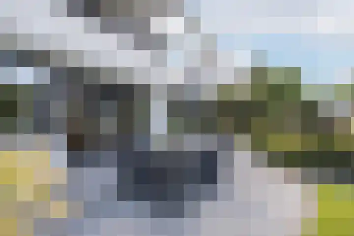 Taconietdijk 2 Roosendaal thumbnail 57