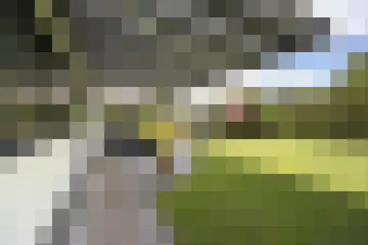Taconietdijk 2 Roosendaal thumbnail 59