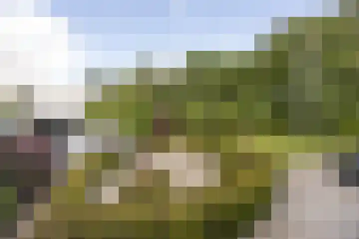 Taconietdijk 2 Roosendaal thumbnail 61