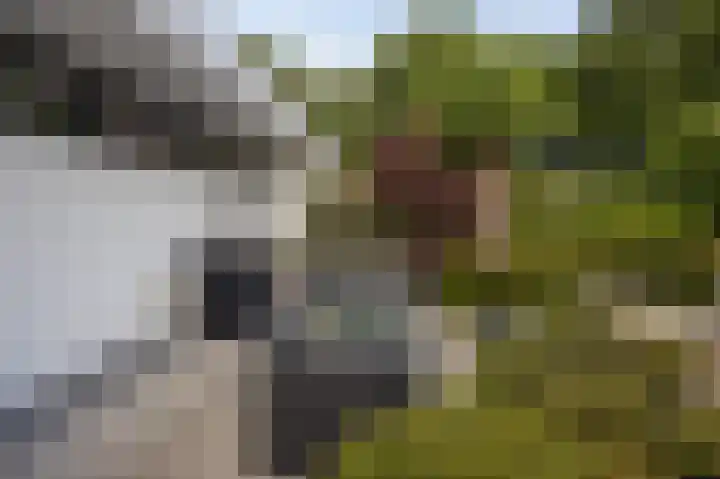 Taconietdijk 2 Roosendaal thumbnail 62