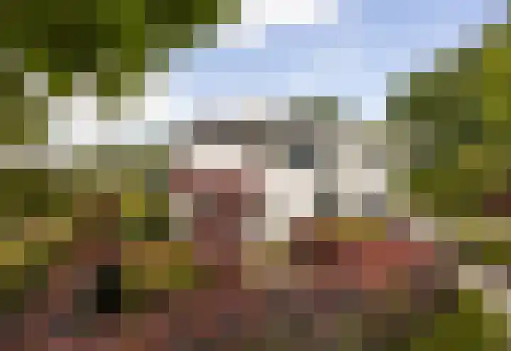 Taconietdijk 2 Roosendaal thumbnail 65