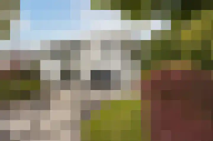 Taconietdijk 2 Roosendaal thumbnail 66