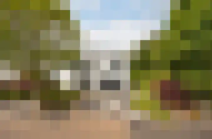 Taconietdijk 2 Roosendaal thumbnail 67
