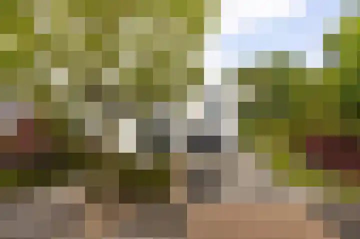 Taconietdijk 2 Roosendaal thumbnail 68