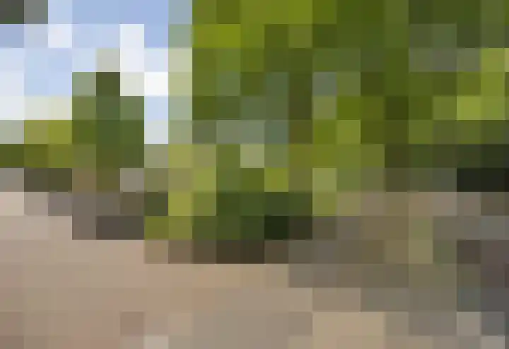 Taconietdijk 2 Roosendaal thumbnail 69
