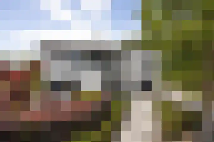 Taconietdijk 2 Roosendaal thumbnail 74