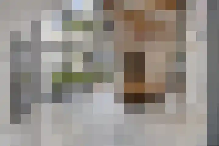 Taconietdijk 2 Roosendaal thumbnail 9
