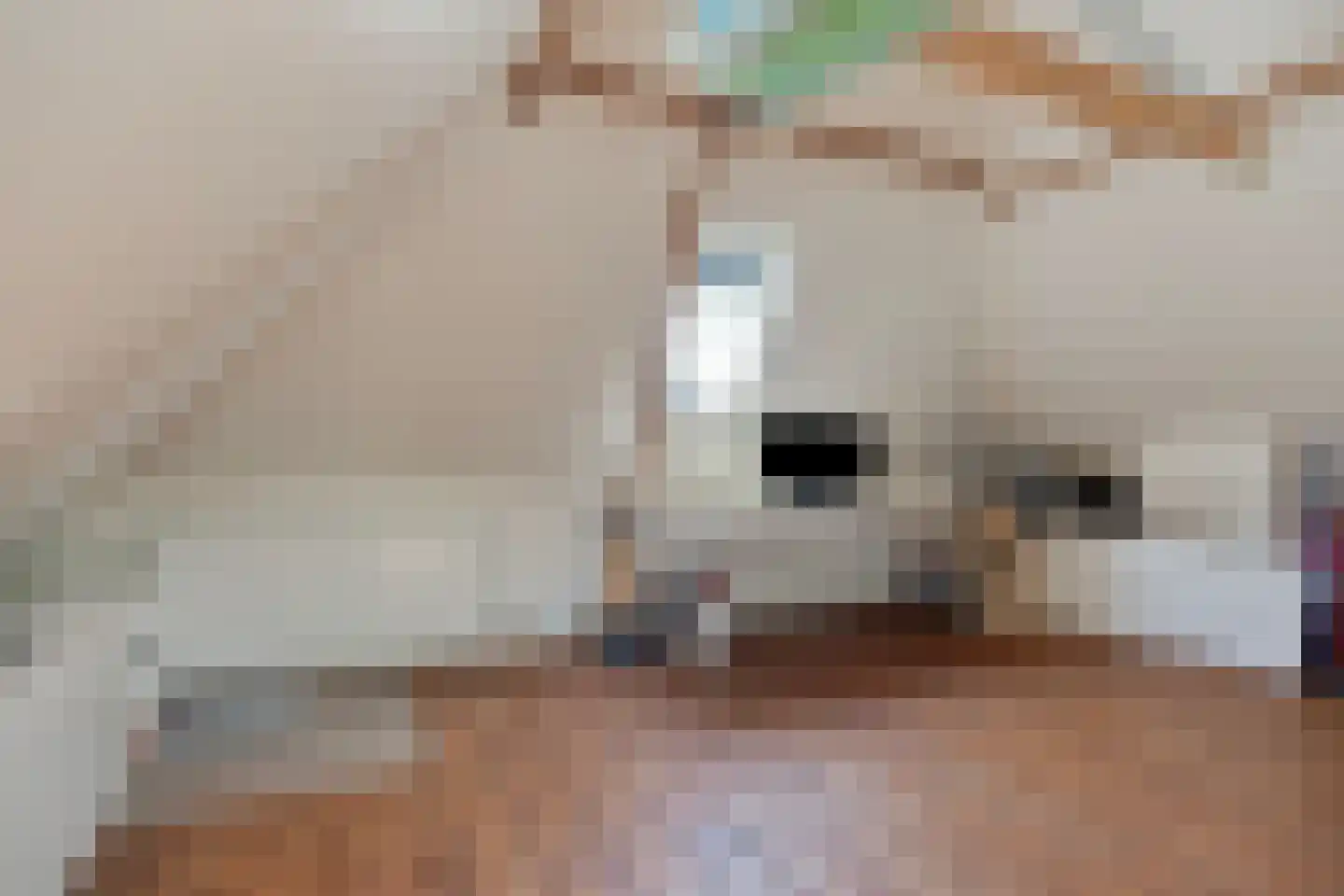 Tadamastraat 20 Zutphen thumbnail 39