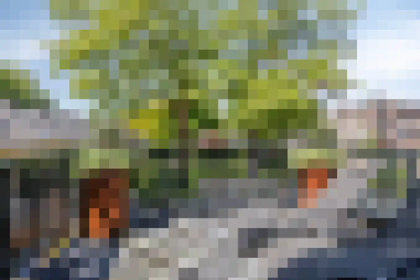 Tadamastraat 20 Zutphen thumbnail 42