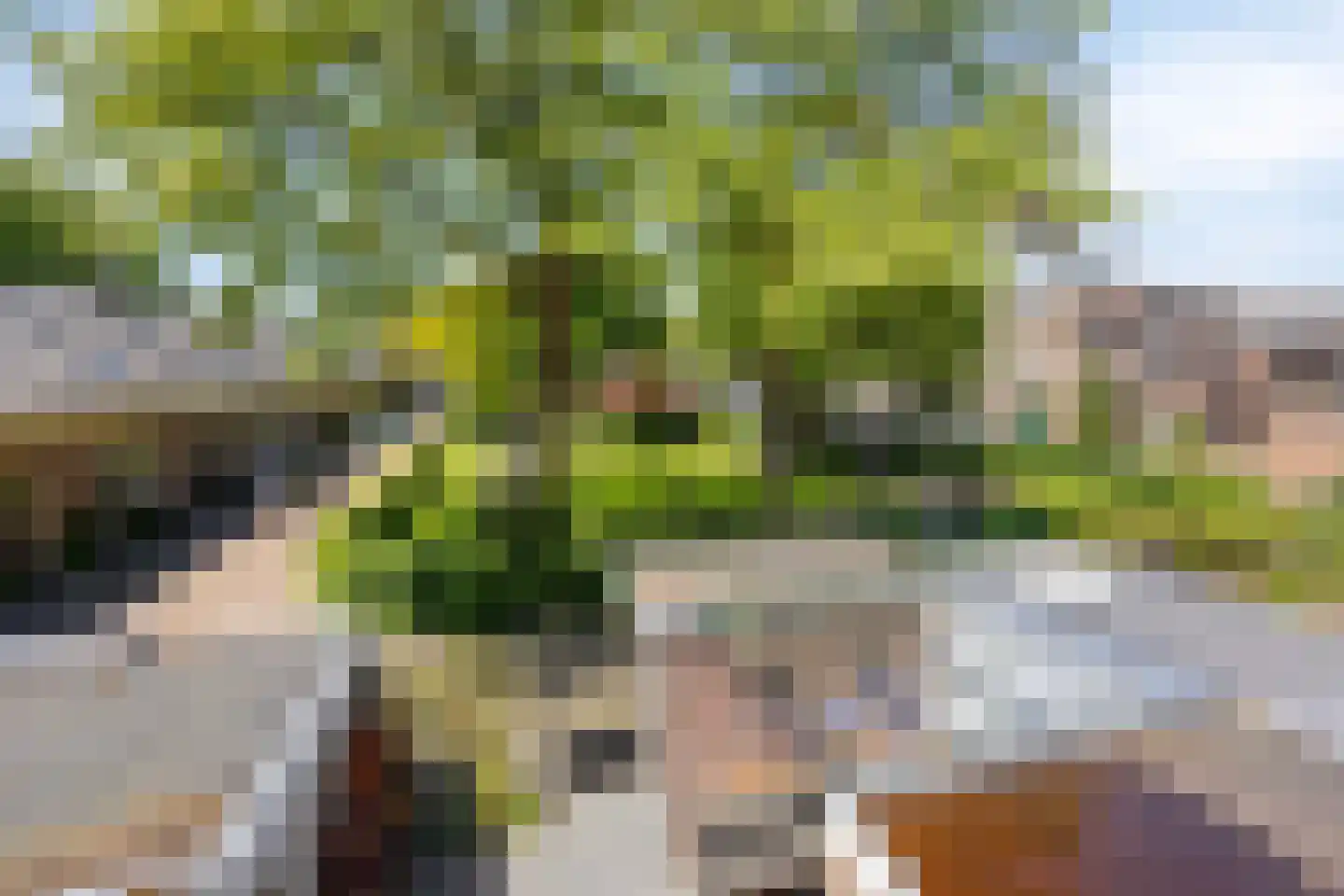 Tadamastraat 20 Zutphen thumbnail 45