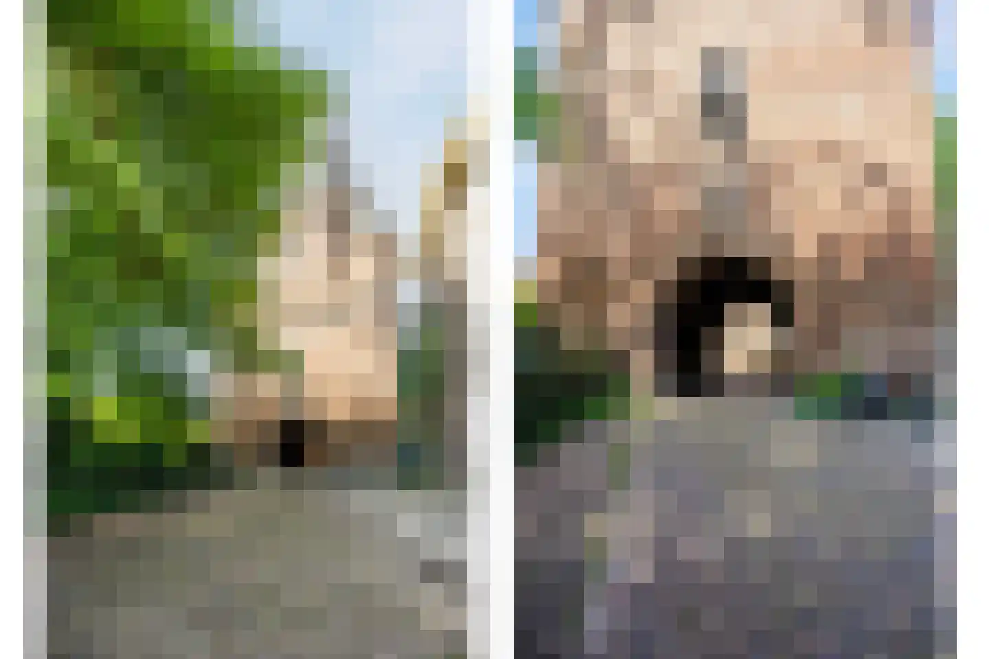 Tadamastraat 20 Zutphen thumbnail 53