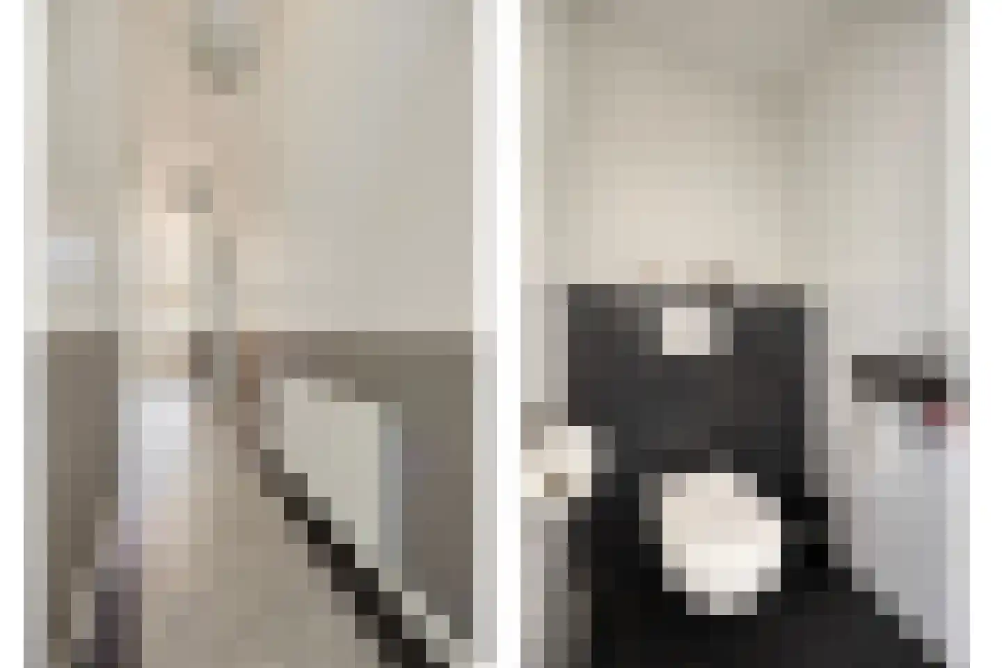Tadamastraat 20 Zutphen thumbnail 7