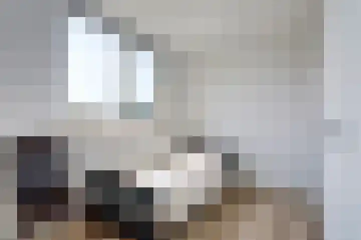 Tademahof 15 Workum thumbnail 18