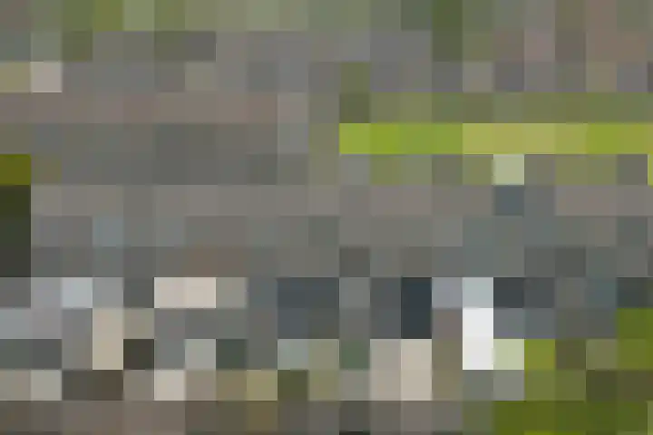 Tademahof 15 Workum thumbnail 25