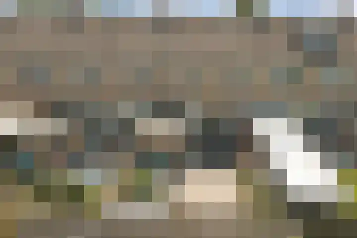 Tademahof 15 Workum thumbnail 26