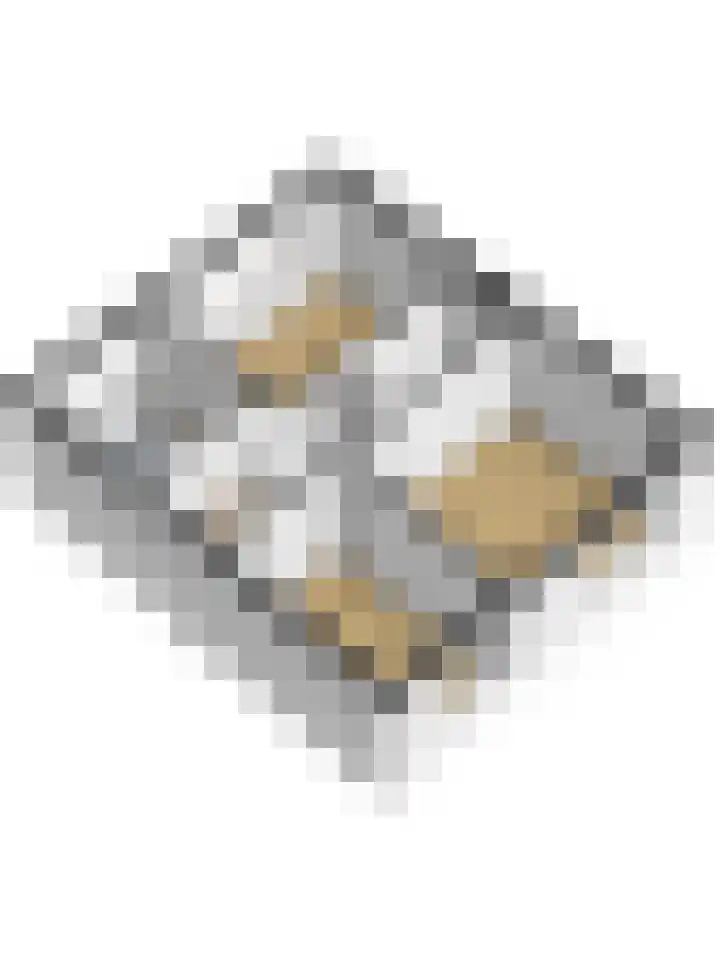 Tademahof 15 Workum thumbnail 31