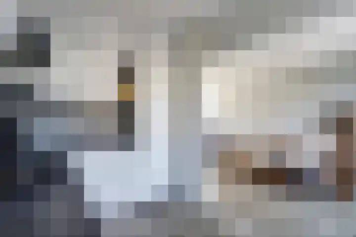 Tademahof 15 Workum thumbnail 5