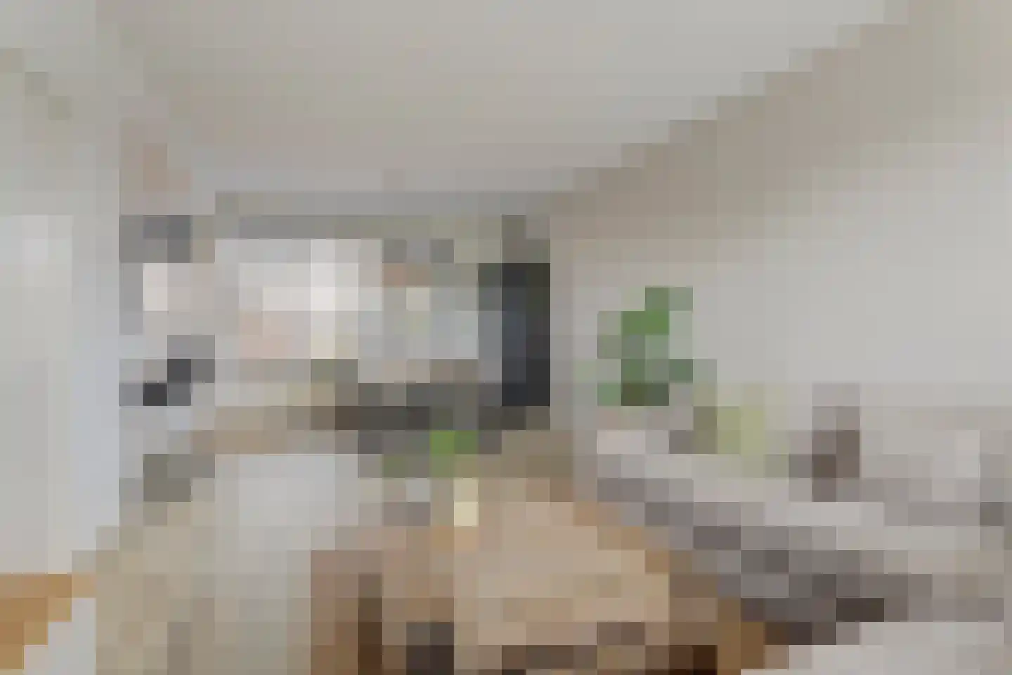 Tademahof 3 Workum thumbnail 10