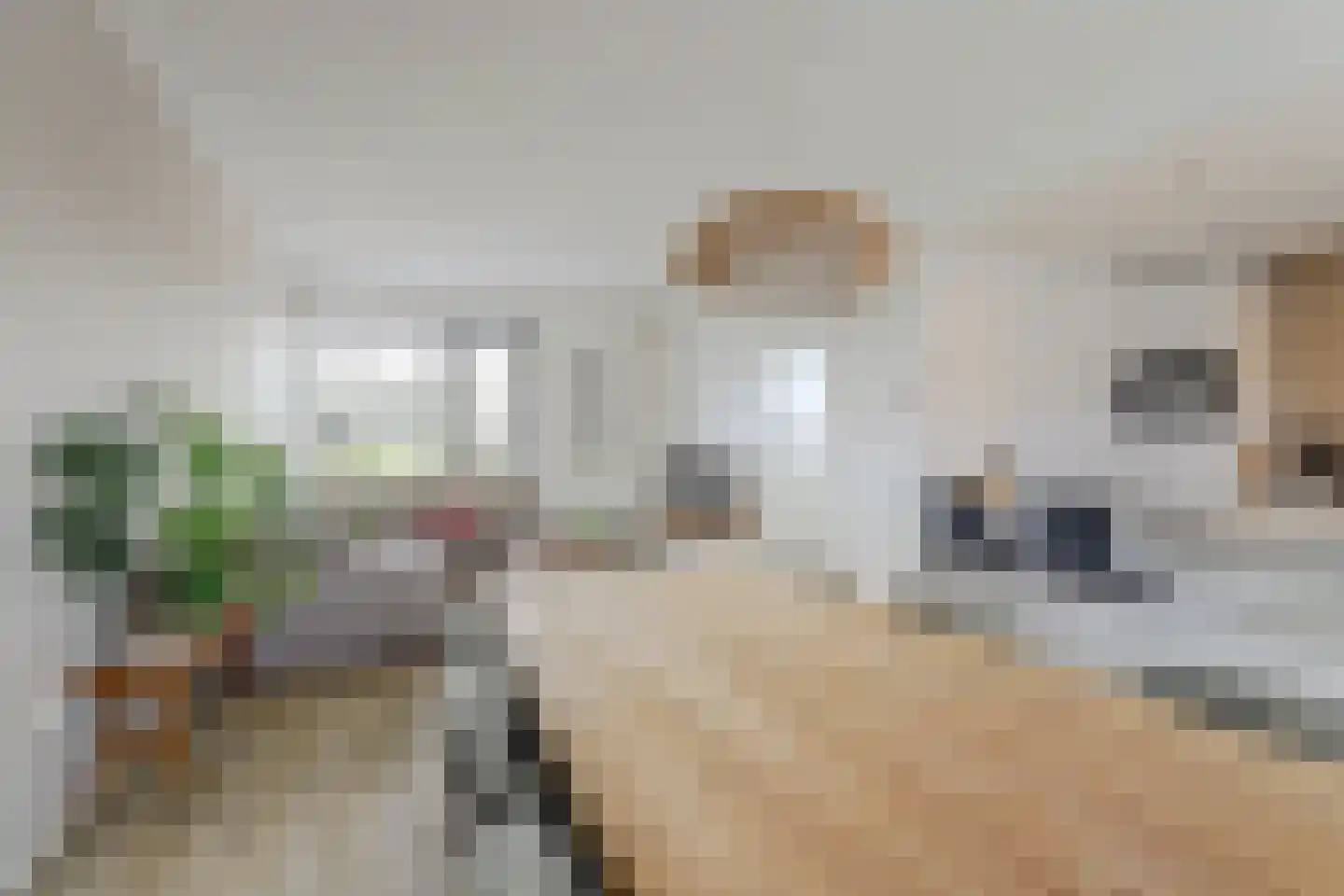 Tademahof 3 Workum thumbnail 11