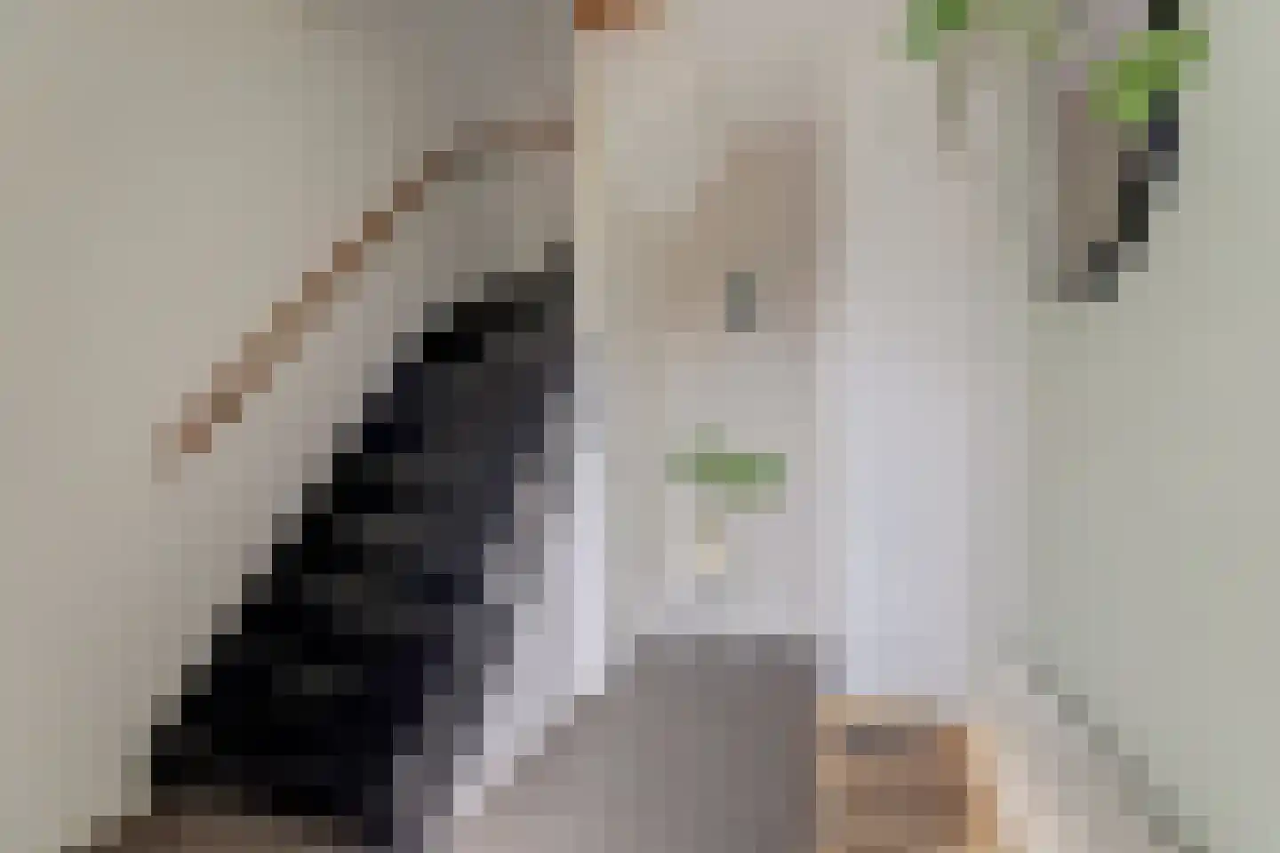 Tademahof 3 Workum thumbnail 8
