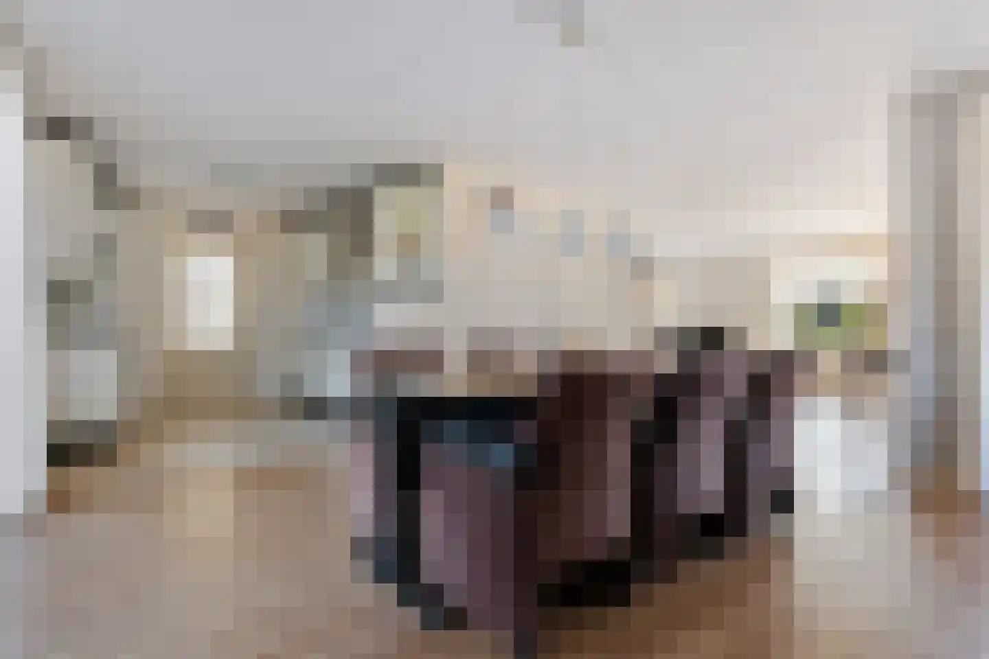 Taeckemalaan 42 Uithuizen thumbnail 38