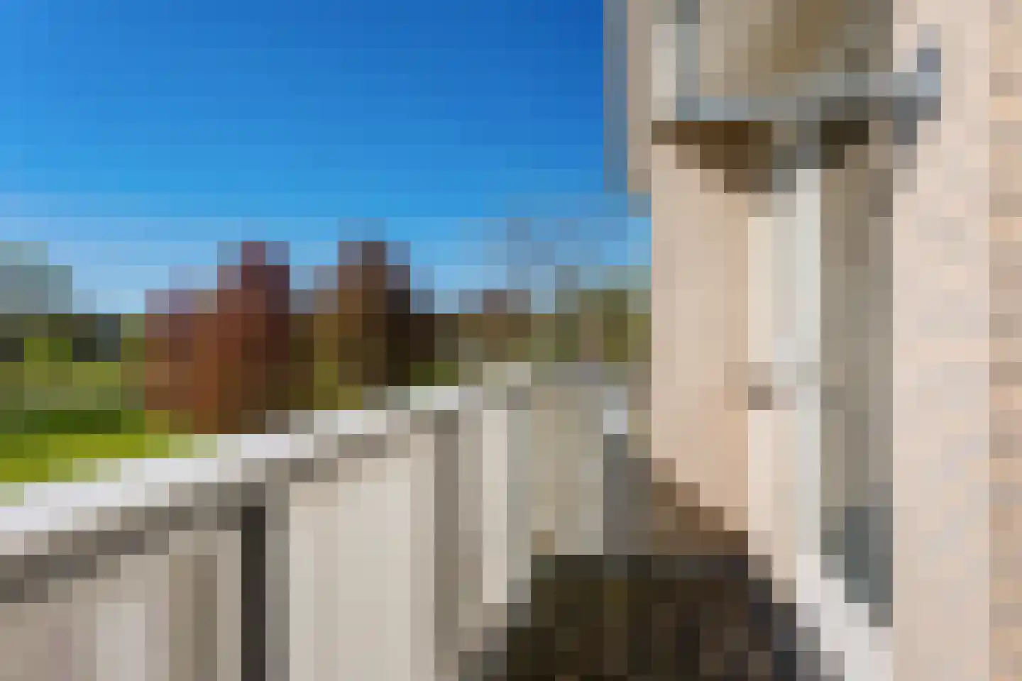 Taeckemalaan 42 Uithuizen thumbnail 53