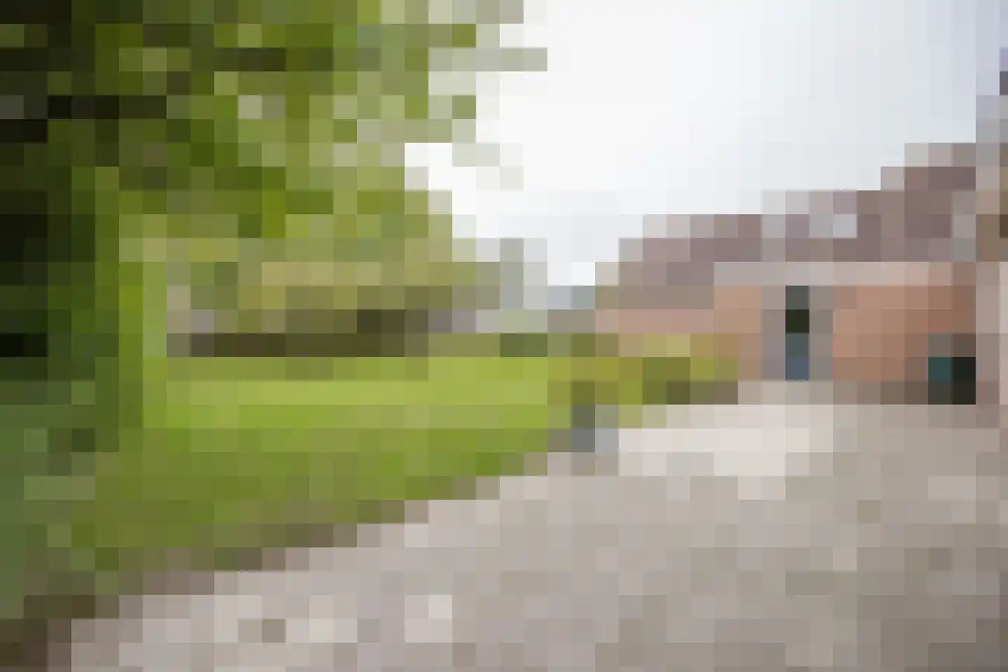 Taede Zijlstrastrjitte 6 Witmarsum thumbnail 20