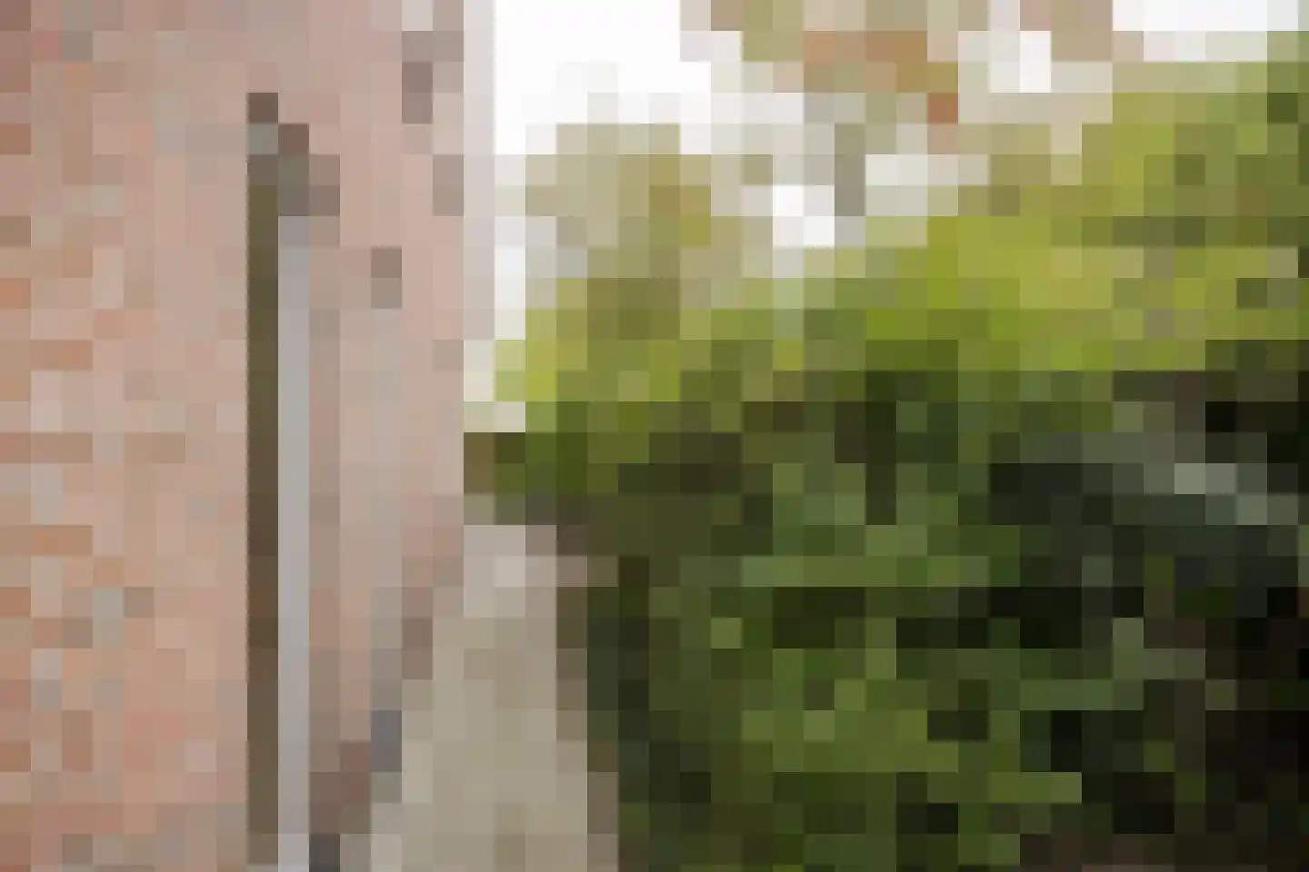 Taede Zijlstrastrjitte 6 Witmarsum thumbnail 21