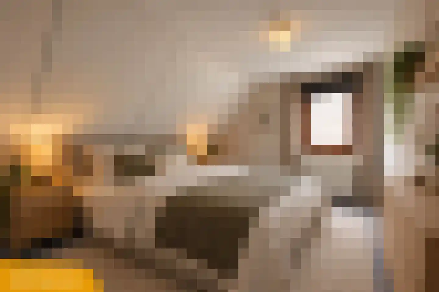 Taede Zijlstrastrjitte 6 Witmarsum thumbnail 29