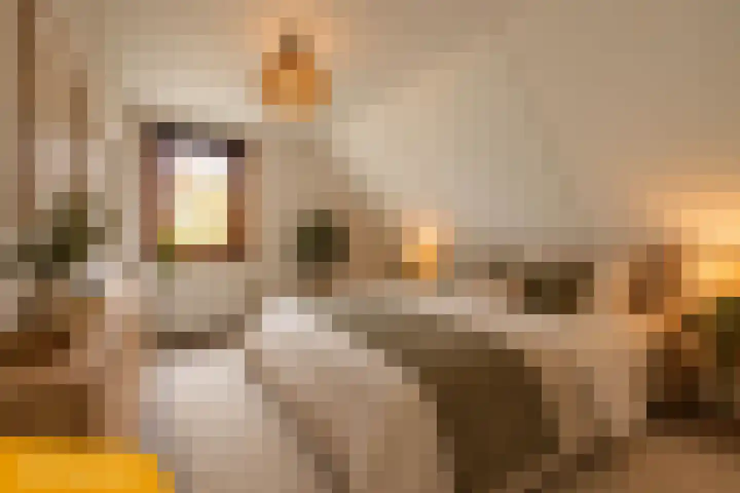Taede Zijlstrastrjitte 6 Witmarsum thumbnail 31