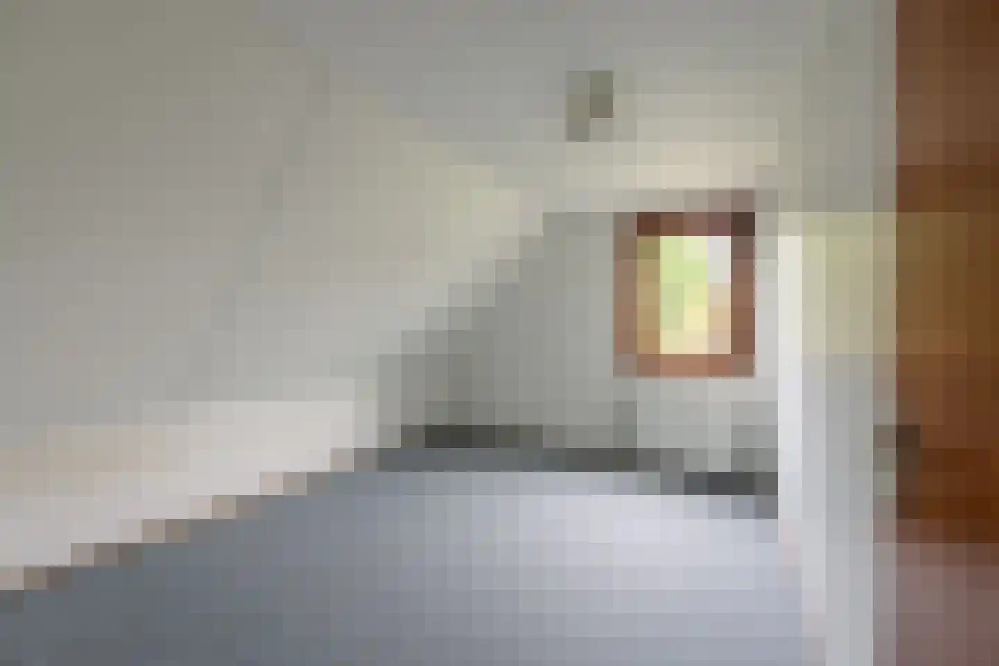 Taede Zijlstrastrjitte 6 Witmarsum thumbnail 32