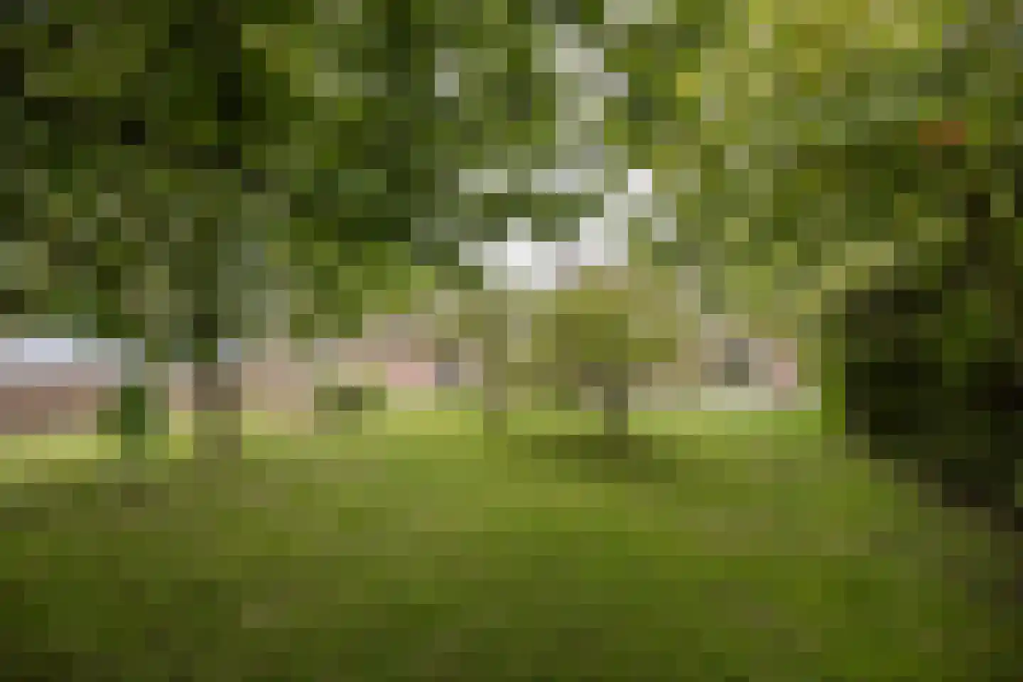 Taede Zijlstrastrjitte 6 Witmarsum thumbnail 5