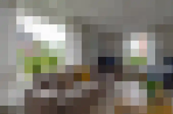 Taeke Schuilengalaan 15 Surhuisterveen thumbnail 11