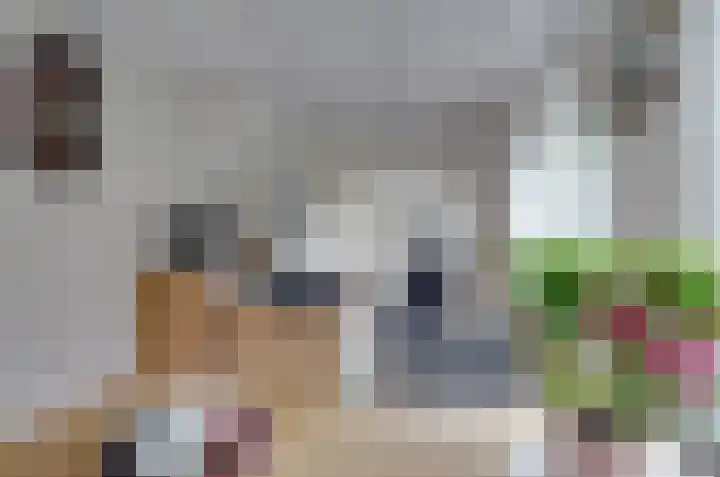 Taeke Schuilengalaan 15 Surhuisterveen thumbnail 12
